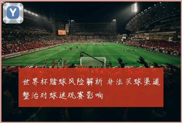 世界杯赌球风险解析 非法买球渠道整治对球迷观赛影响