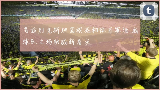 乌兹别克斯坦国旗亮相体育赛场 成球队主场助威新看点