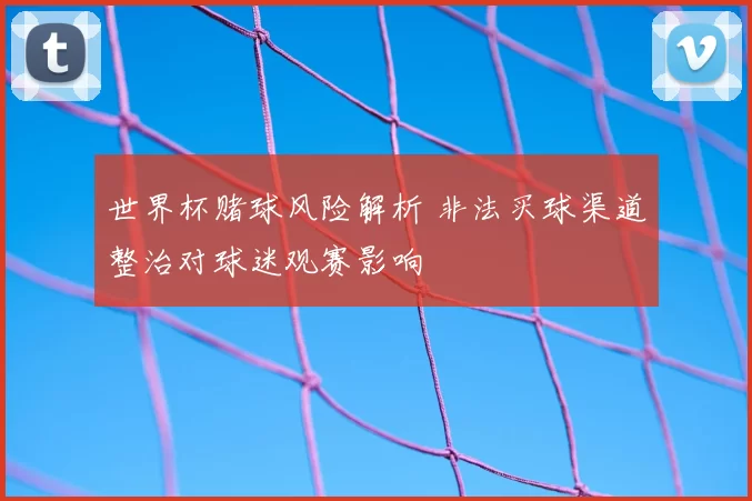 世界杯赌球风险解析 非法买球渠道整治对球迷观赛影响