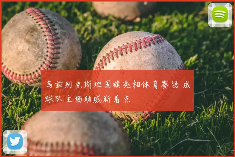 乌兹别克斯坦国旗亮相体育赛场 成球队主场助威新看点